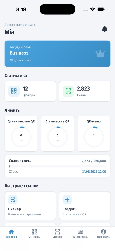 WebQR აპლიკაციის მთავარი ეკრანი